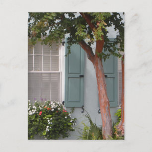 Seagreen Shutters Postcard