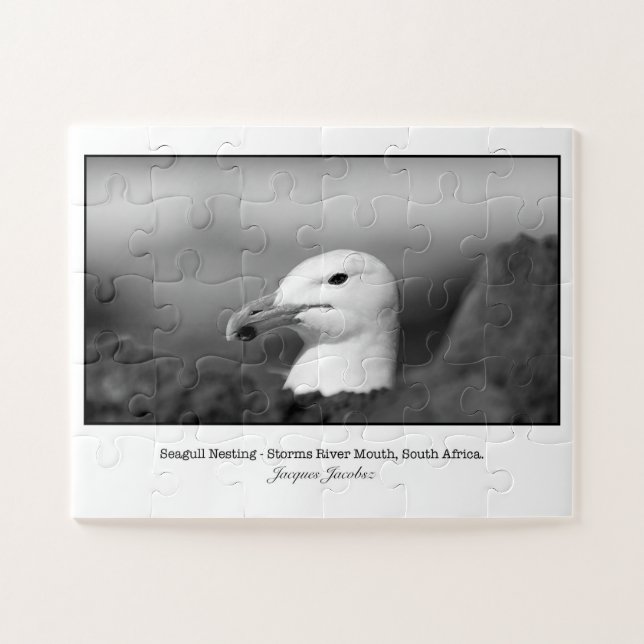 Seagul nesting jigsaw puzzle (Horizontal)