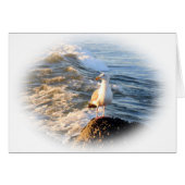 Seagull (Front Horizontal)