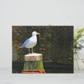 Seagull (Standing Front)