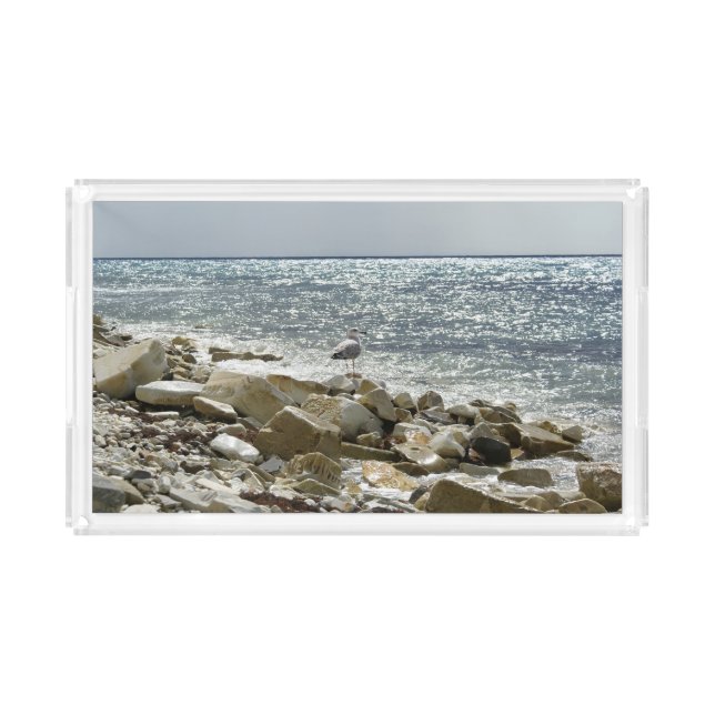 Seagull Acrylic Tray (Front)