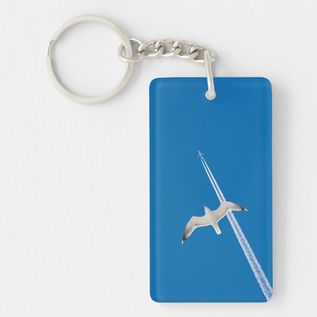 Seagull and airplane keychain (Front)