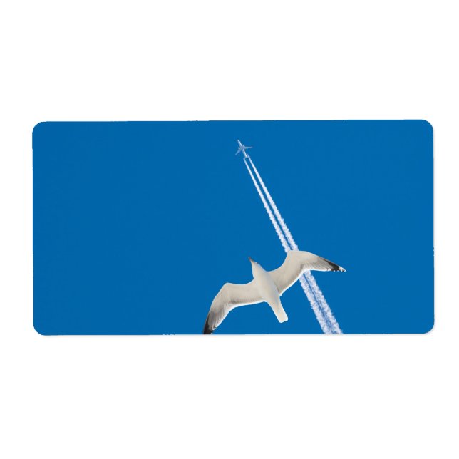 Seagull and airplane label (Front)