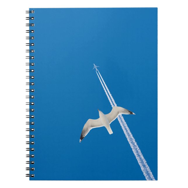 Seagull and airplane notebook (Front)