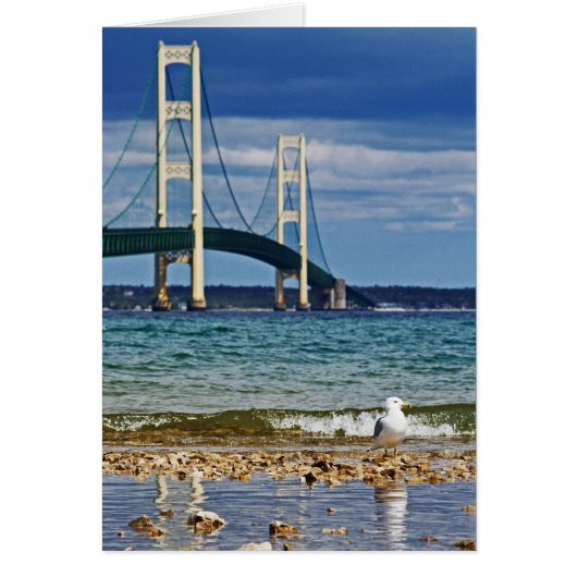 Seagull and Mackinac Bridge Cards (Front)
