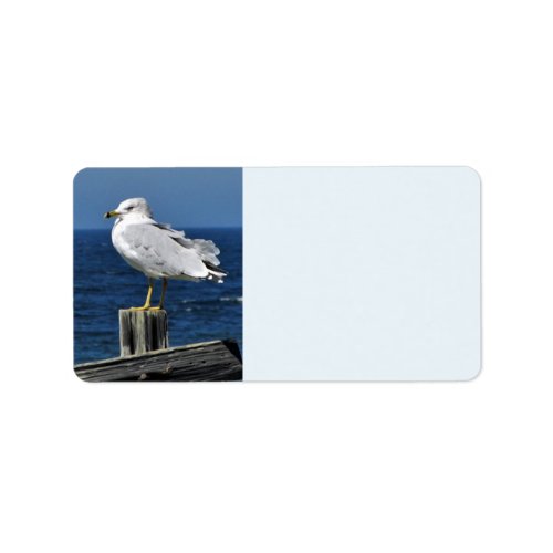 Seagull and Ocean Address Labels