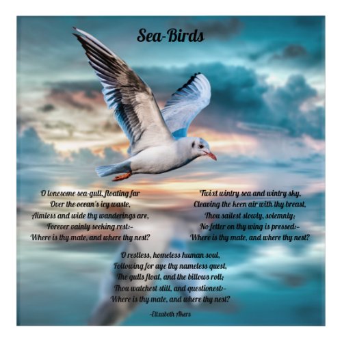 Seagull and Poetry Acrylic Print