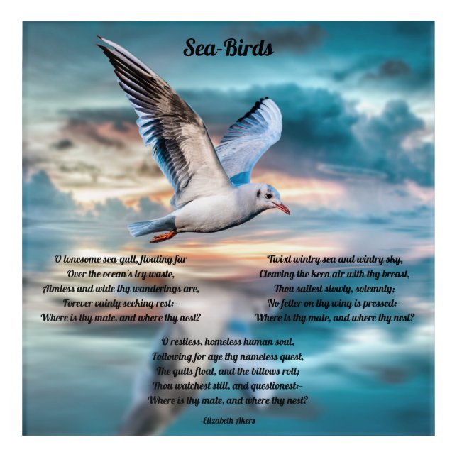 Seagull and Poetry Acrylic Print (Front)
