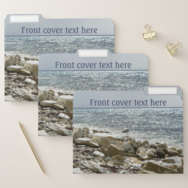 Seagull and sea file folder (Set)
