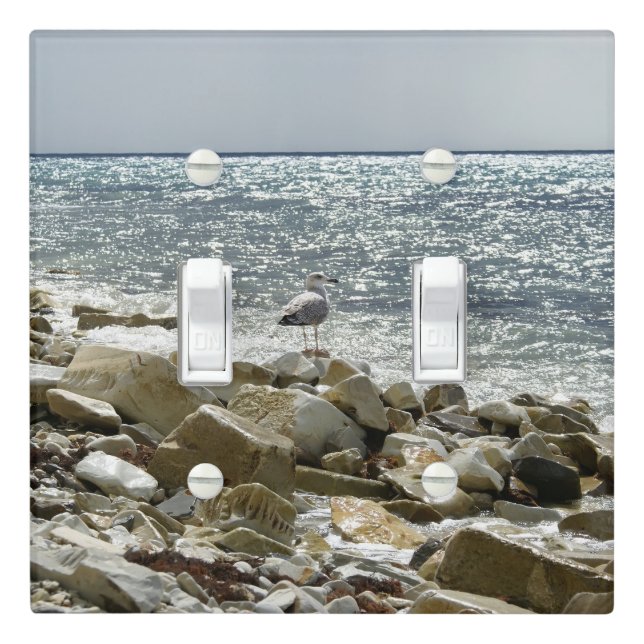 seagull and sea surf light switch cover (In Situ)
