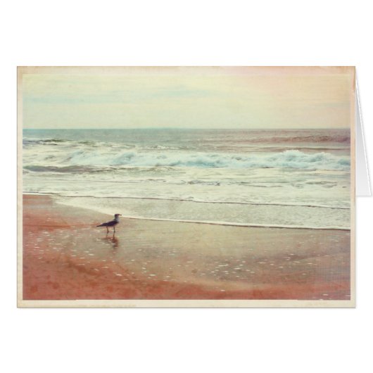 Seagull and the Ocean - Blank Card (Front Horizontal)