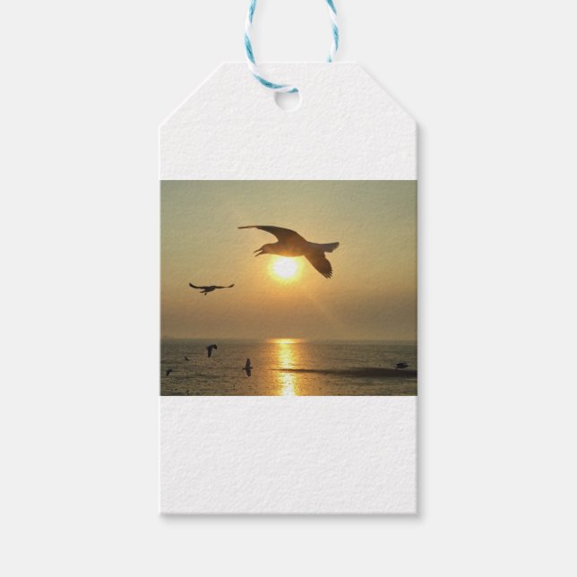 Seagull at Sunset Gift Tags (Front)