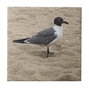 Seagull at the Beach in the Sand  Ceramic Tile