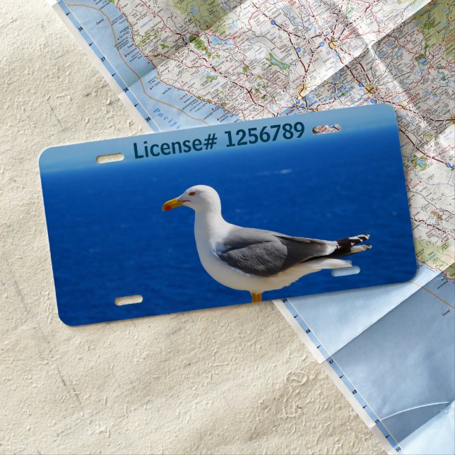 Seagull at the Beach License Plate (In Situ)