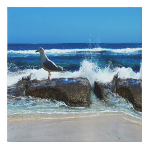 Seagull At The Beach On Rocks, Faux Canvas Print