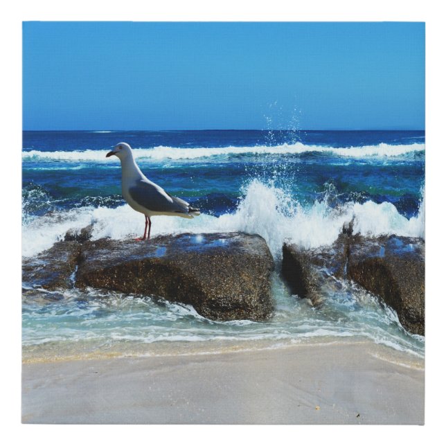 Seagull At The Beach On Rocks, Faux Canvas Print (Front)