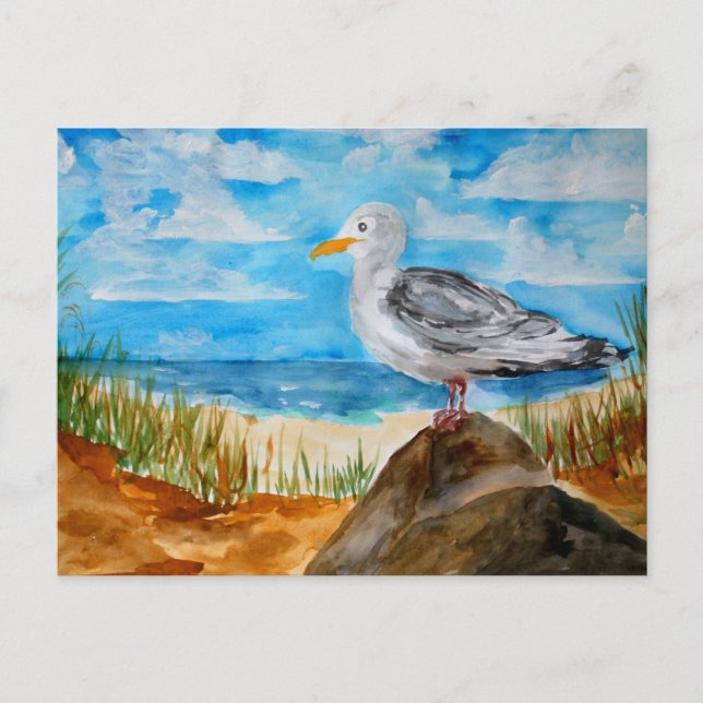 Seagull at the Beach Postcard (Front)