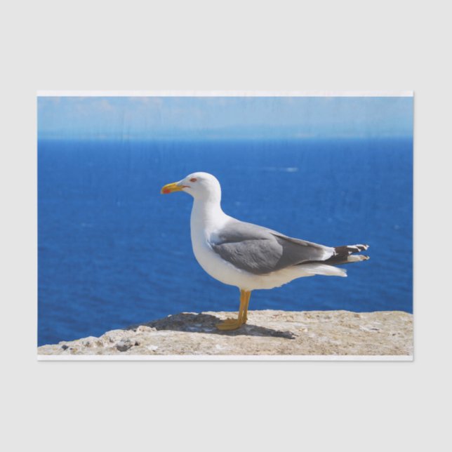 Seagull at the Beach Tissue Paper (Front)