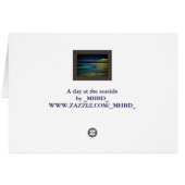 Seagull at the Seaside Cards (Back Horizontal)