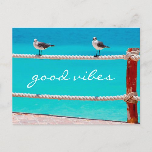 Seagull beach birds photo good vibes script quote postcard