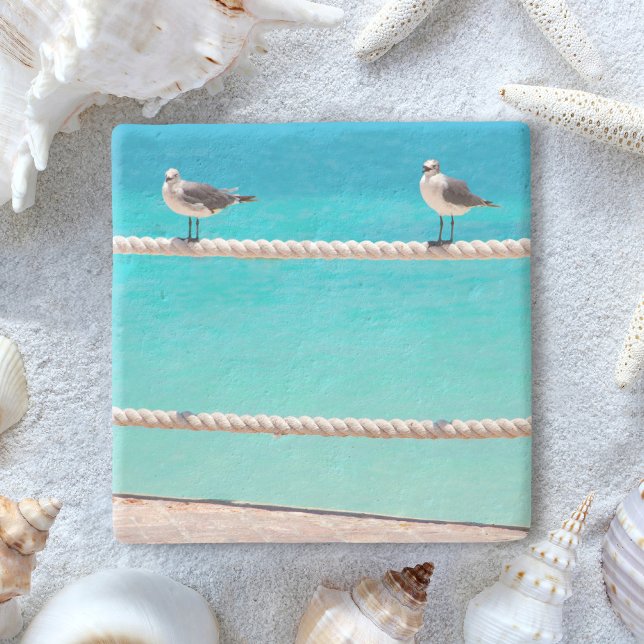 Seagull beach birds turquoise ocean photo coastal stone coaster (Creator Uploaded)