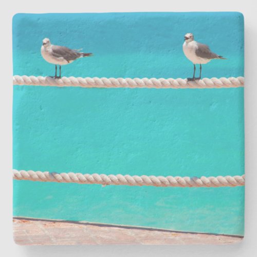 Seagull beach birds turquoise ocean photo coastal stone coaster