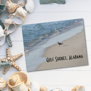 Seagull Beach Travel Postcard