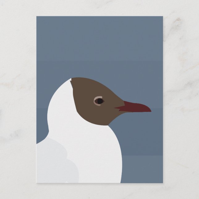 Seagull Bird Gull Seagull  Postcard (Front)