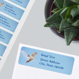 Seagull Bird in Flight Return Address Label