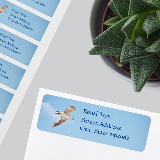 Seagull Bird in Flight Return Address Label (Creator Uploaded)