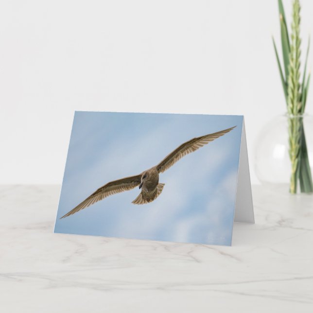 Seagull - Bird in flight Thank You Card (Front)