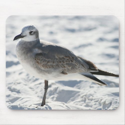 seagull bird mouse pad