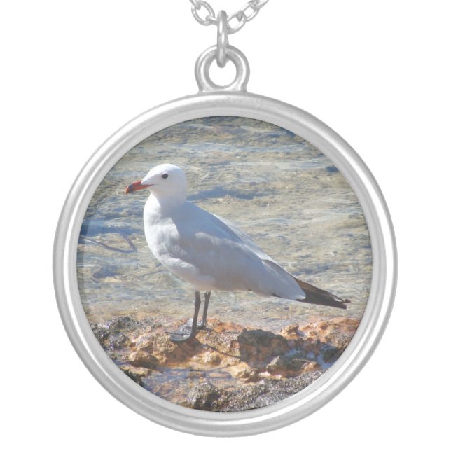 Seagull Bird Photo Silver Plated Necklace (Front)