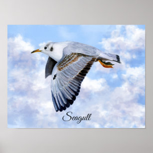 Seagull Bird Print, Value Poster Paper (Matte)