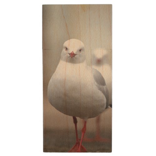 Seagull Bird Wildlife Nature Animal Art  Wood Flash Drive