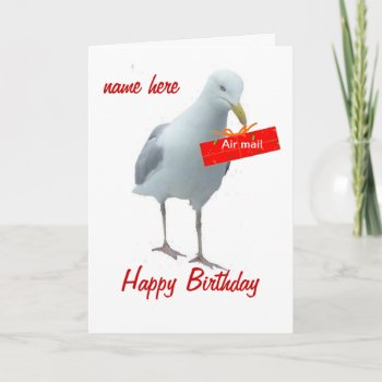 Seagull Birthday Day Card Any Person by artistjandavies at Zazzle