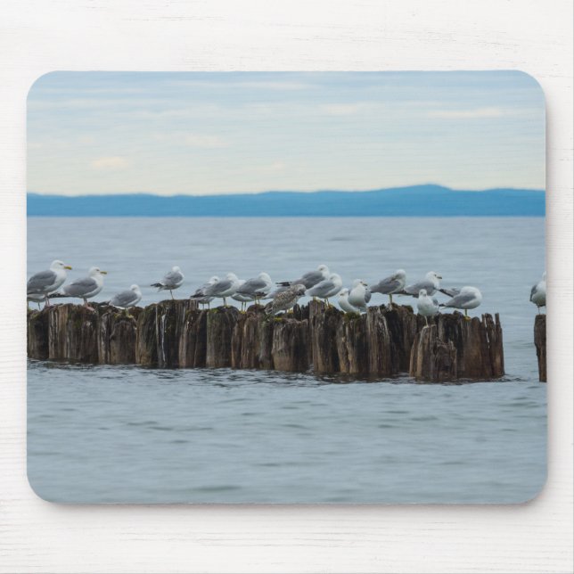 Seagull Breaktime Mouse Pad (Front)