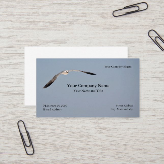 Seagull Business Card (Front/Back In Situ)