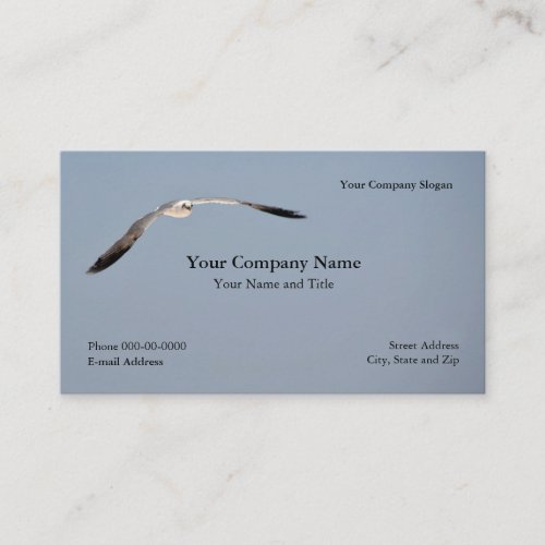 Seagull Business Card