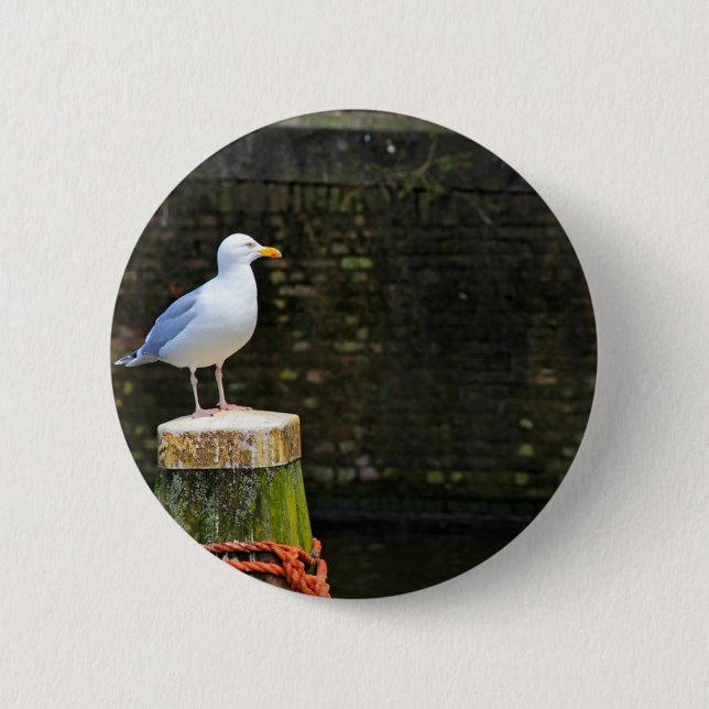 Seagull Button (Front)