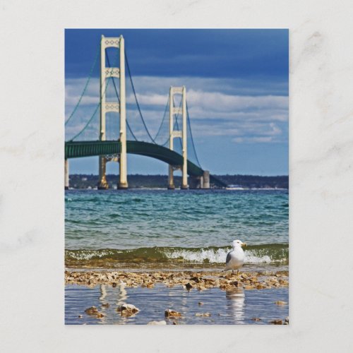 Seagull by Mackinac Bridge Postcard