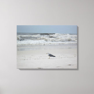 Seagull by the Ocean on Canvas