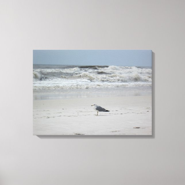 Seagull by the Ocean on Canvas (Front)