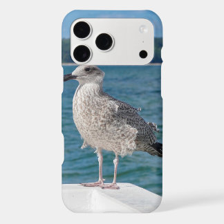 seagull by the sea iPhone Case Bird
