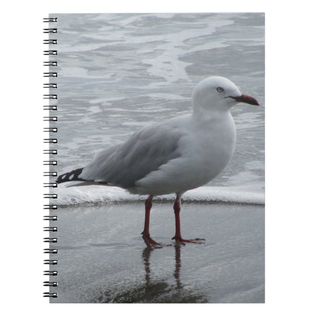 Seagull by the Sea Notebook (Front)