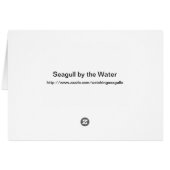 Seagull by the Water Cards (Back Horizontal)
