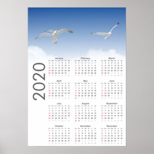 Seagull Calendar 2020 Poster