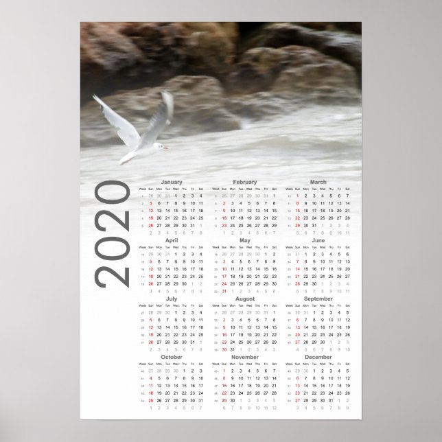 Seagull Calendar 2020 Poster (Front)