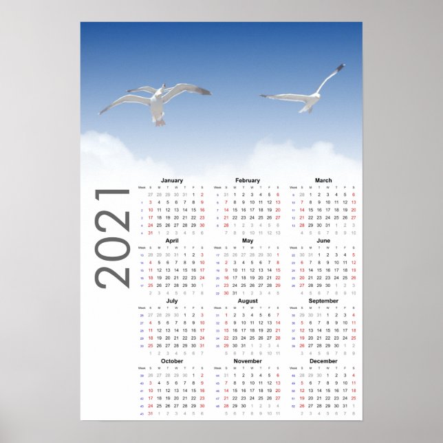 Seagull Calendar 2021 Poster - Sunday first (Front)