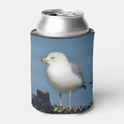 Seagull Can Cooler